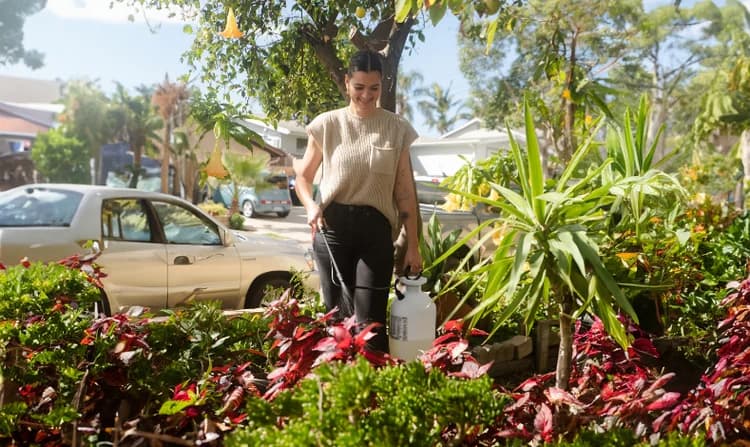 Homeowner walking through a planted yard with a pump sprayer at golden hour