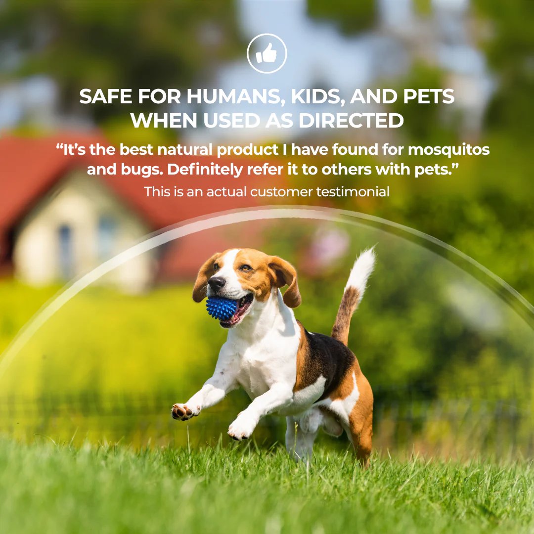 Happy Customer Testimonial